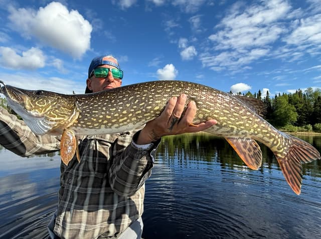 The Foul Hooked Whitey returns with the rant; “Fly Fishing in AK with the Macho Man” Part Two...